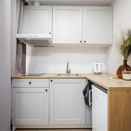 Apartment Tyzenhauzu Vilnius