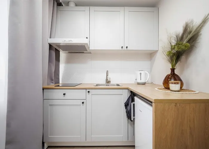 Apartment Tyzenhauzu Vilnius